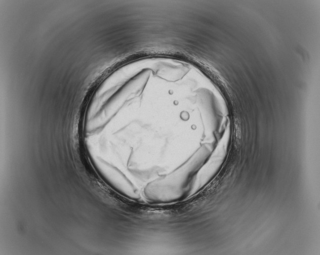 X0000112890487200910021417