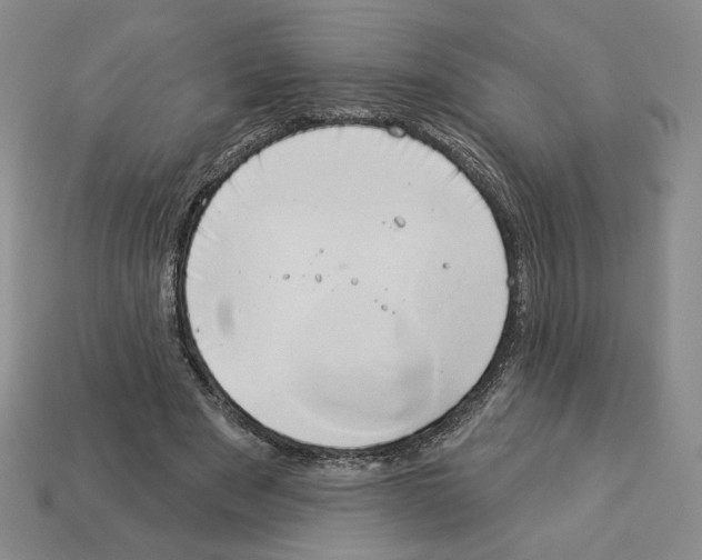 X0000112890489200910021417