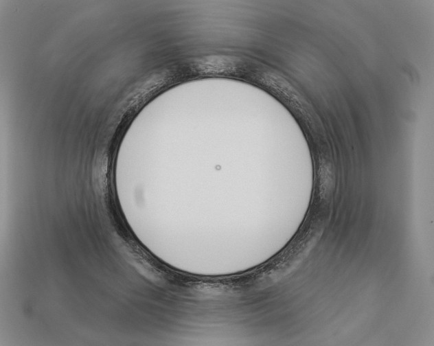 X0000112890490200910021417