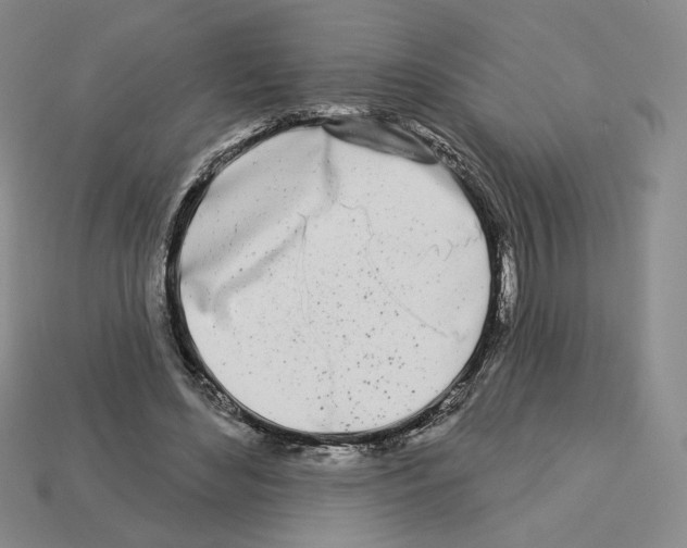 X0000112890492200910021417
