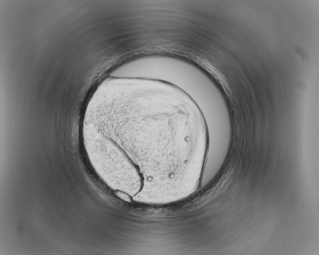 X0000112890493200910021417