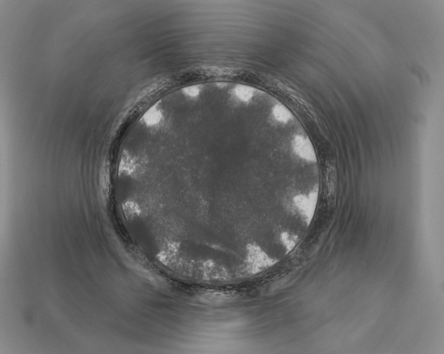X0000112890494200910021417