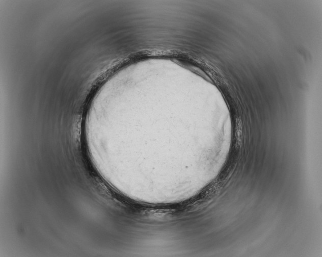 X0000112890495200910021417