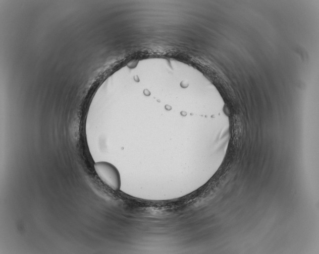 X0000112890496200910021417
