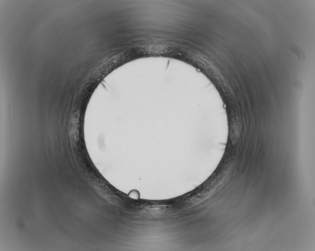 X0000112890497200910021417