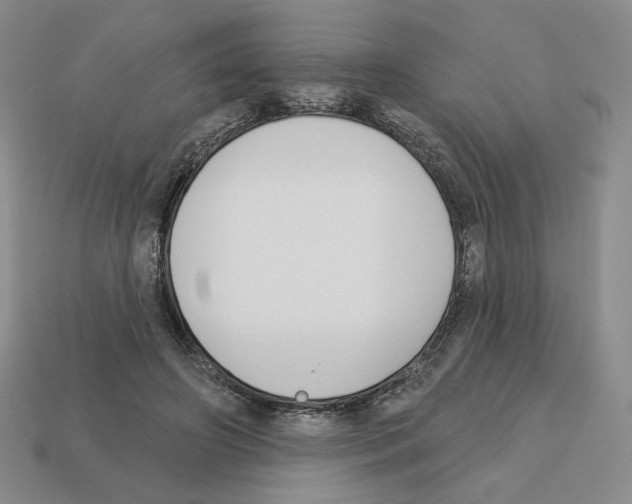 X0000112890498200910021417