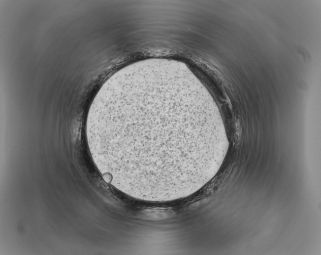 X0000112890499200910021417