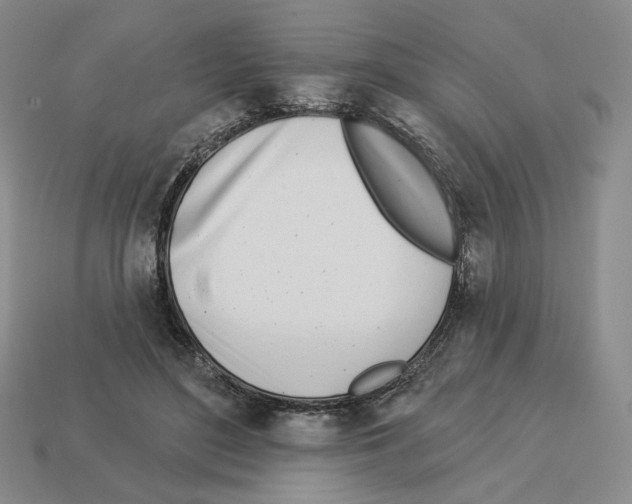 X0000112890500200910021417