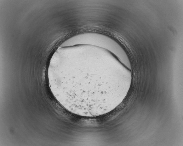 X0000112890501200910021417