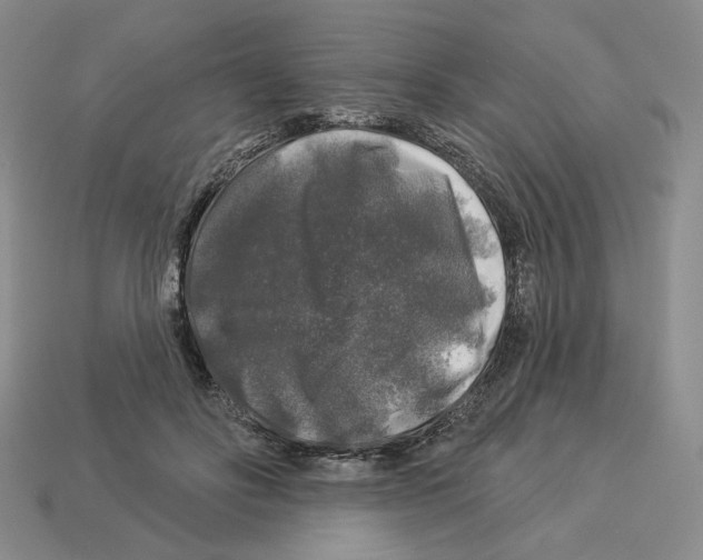 X0000112890502200910021417