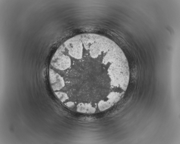 X0000112890503200910021417