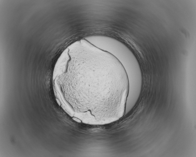 X0000112890505200910021417