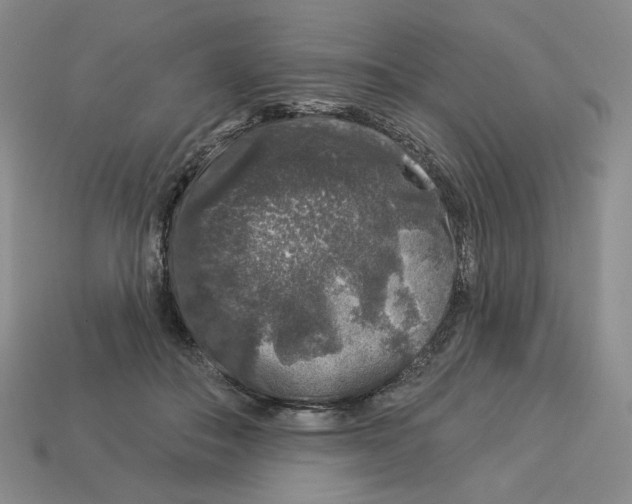 X0000112890506200910021417