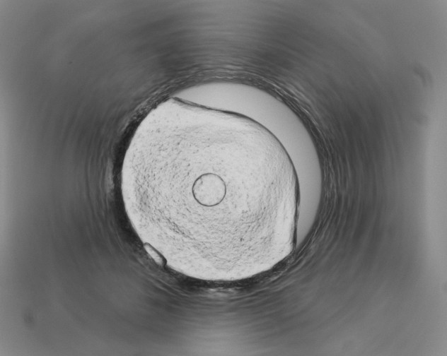 X0000112890508200910021417