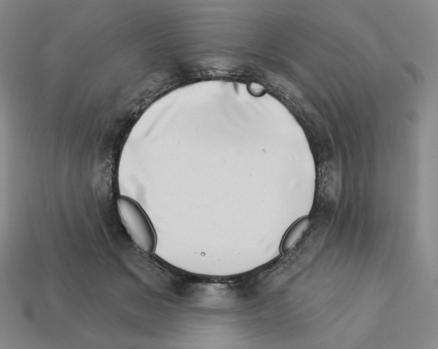 X0000112890509200910021417
