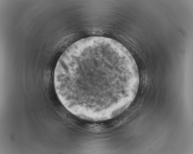 X0000112890511200910021417