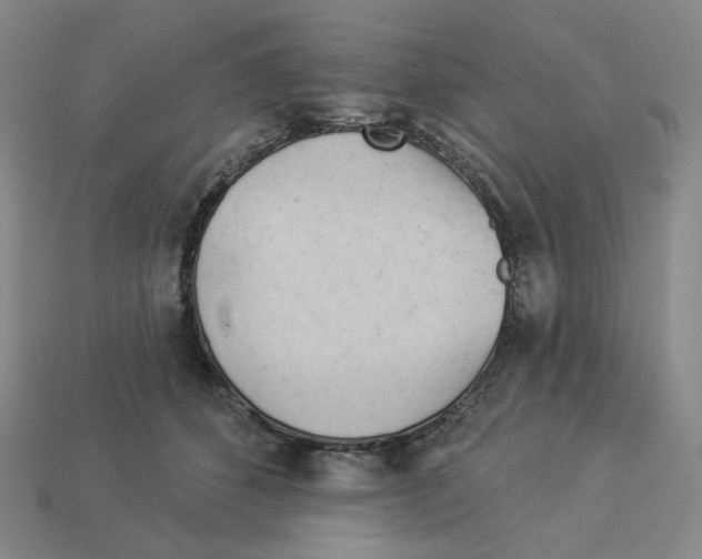 X0000112890512200910021417