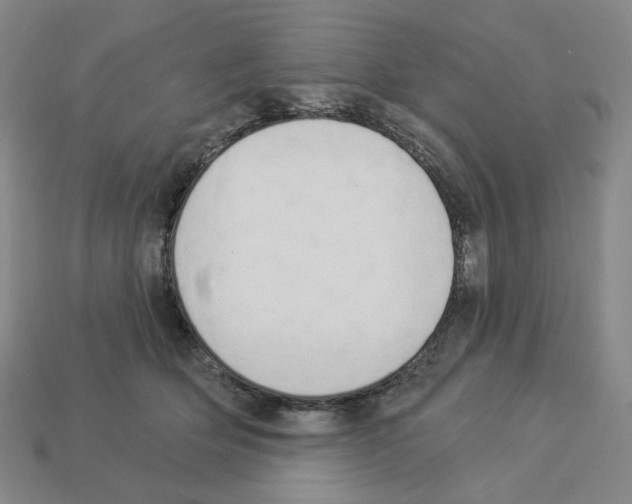 X0000112890514200910021417