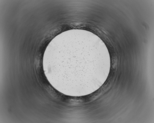 X0000112890515200910021417