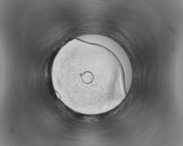 X0000112890520200910021417