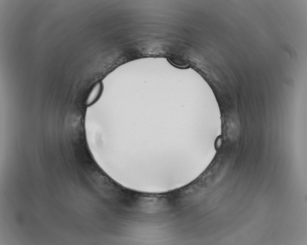 X0000112890521200910021417