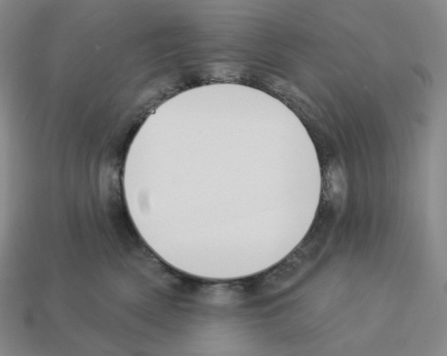 X0000112890522200910021417