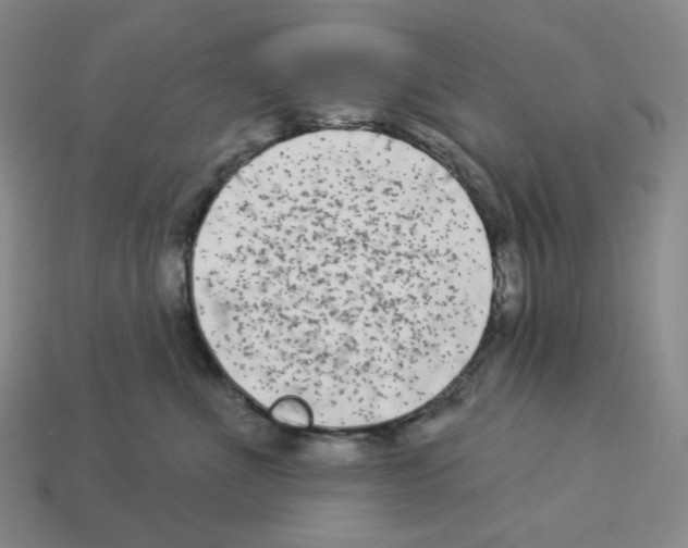 X0000112890523200910021417