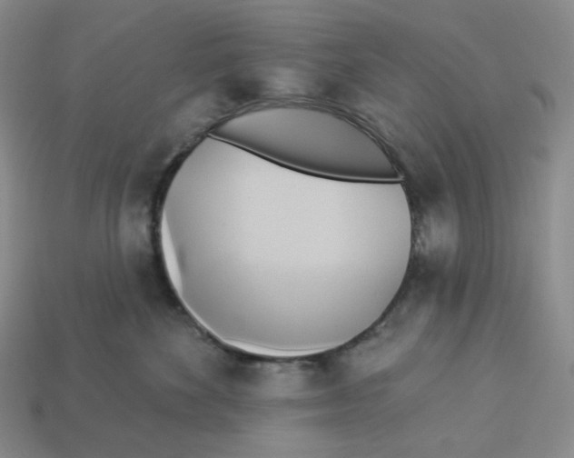 X0000112890524200910021417
