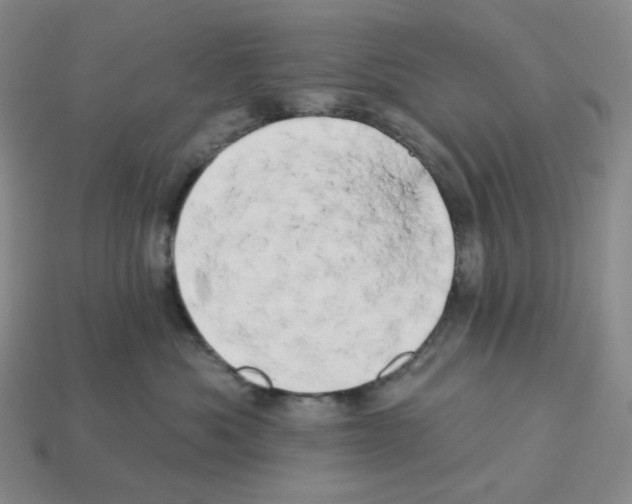 X0000112890525200910021417