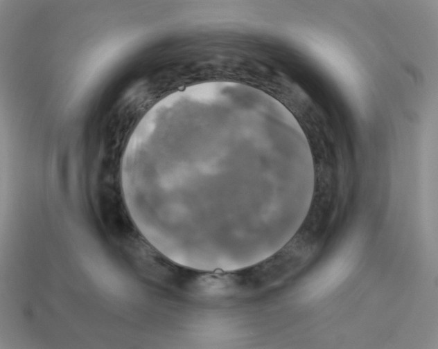X0000112890526200910021417