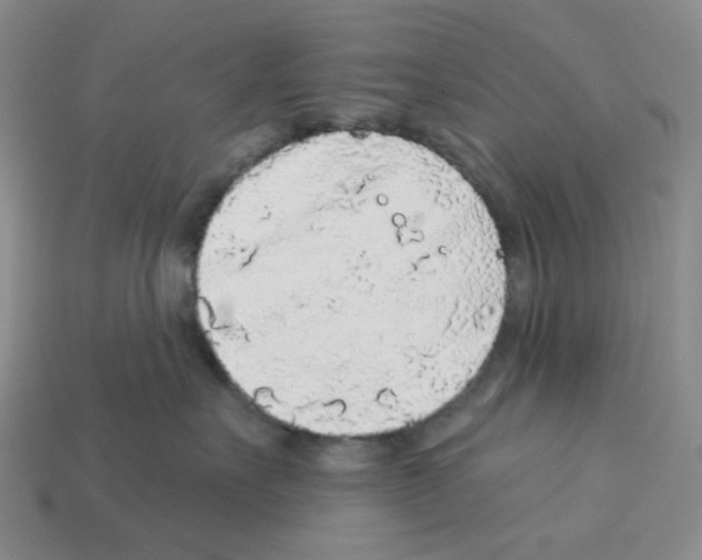 X0000112890527200910021417