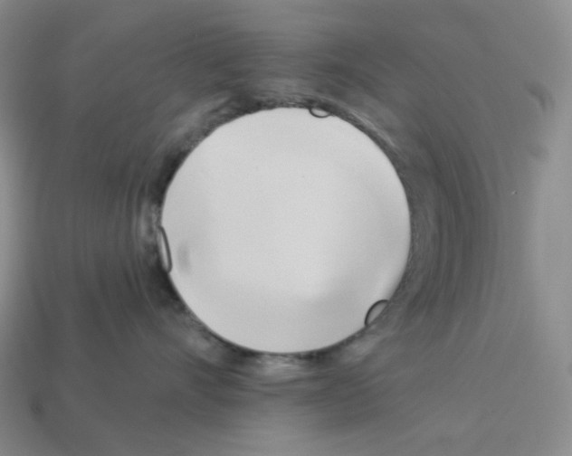 X0000112890528200910021417