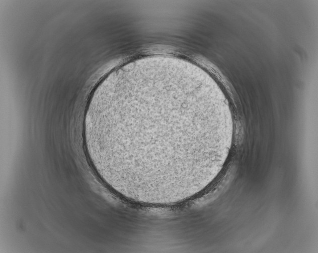 X0000112890529200910021416