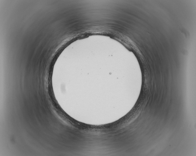 X0000112890530200910021416