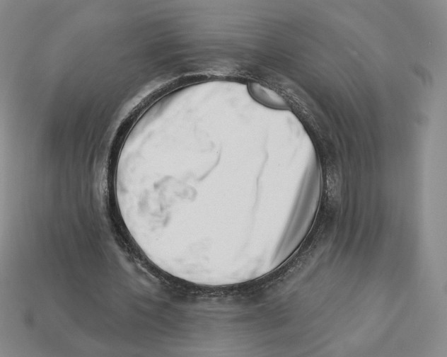 X0000112890532200910021416