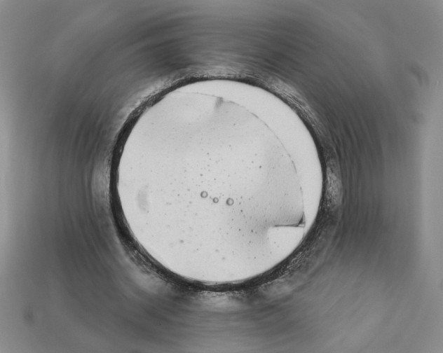 X0000112890534200910021416