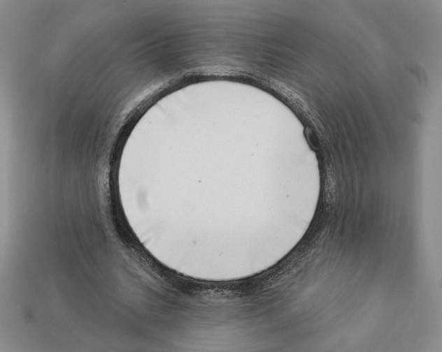 X0000112890535200910021416