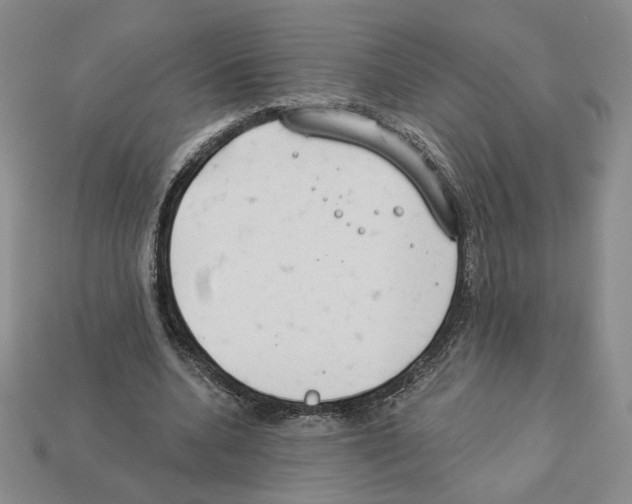 X0000112890536200910021416