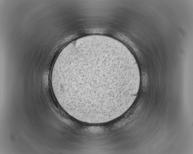 X0000112890537200910021416