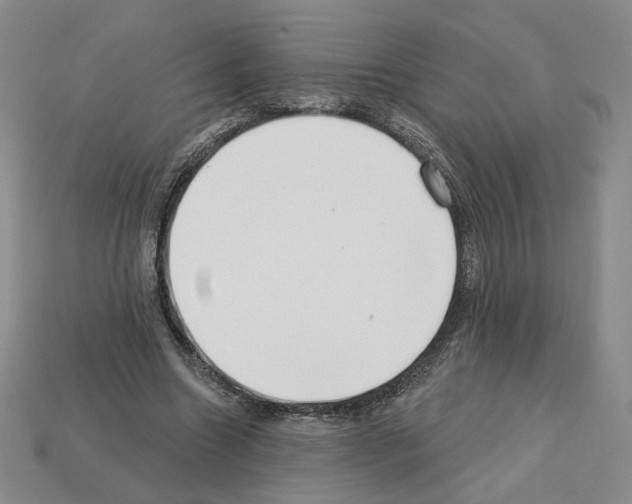 X0000112890538200910021416