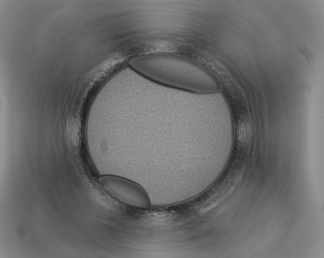 X0000112890540200910021416