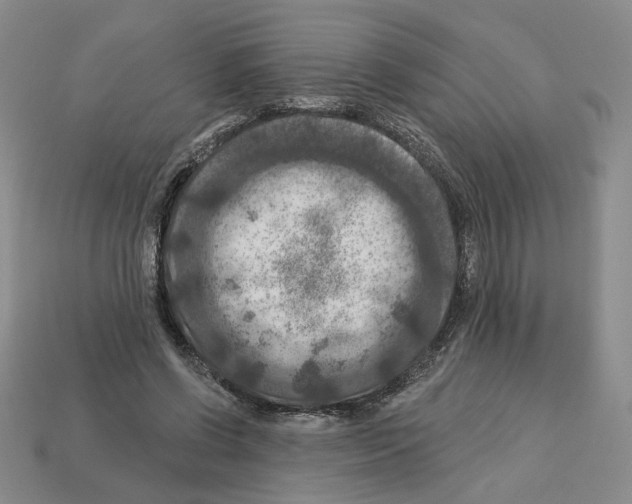 X0000112890542200910021416