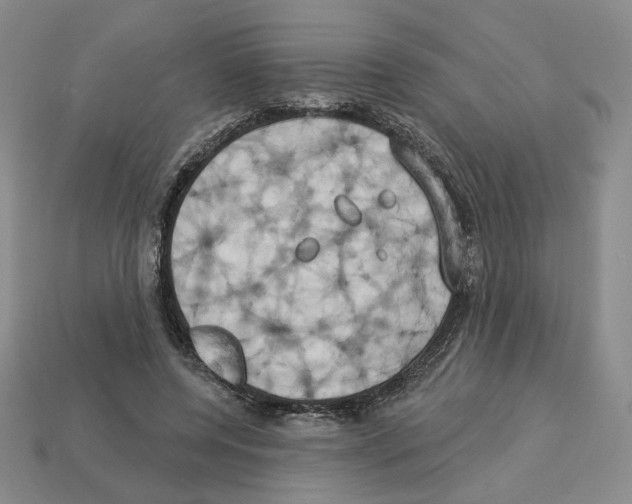 X0000112890544200910021416
