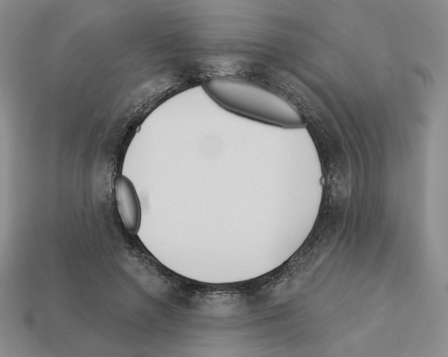 X0000112890546200910021416