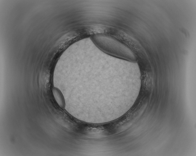 X0000112890548200910021416
