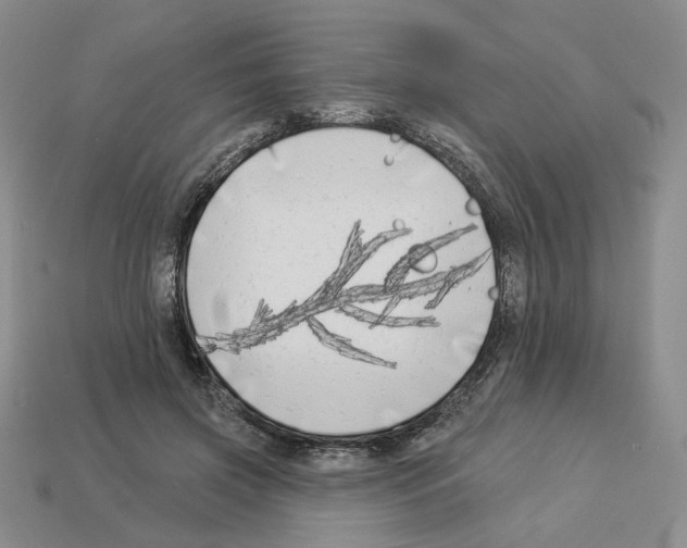 X0000112890549200910021416