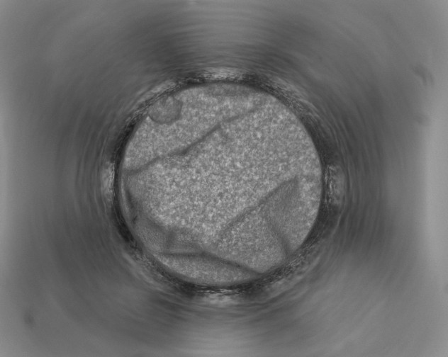 X0000112890550200910021416