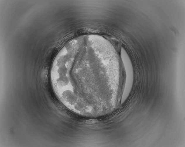 X0000112890551200910021416