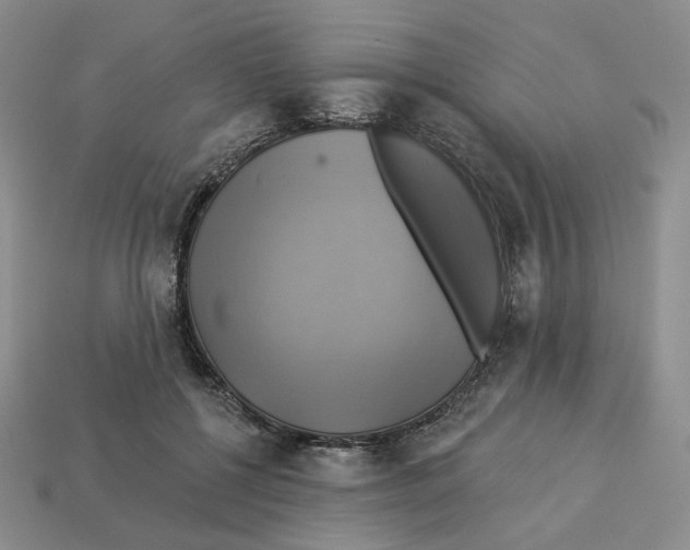 X0000112890552200910021416