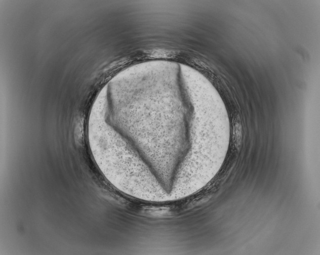 X0000112890554200910021416